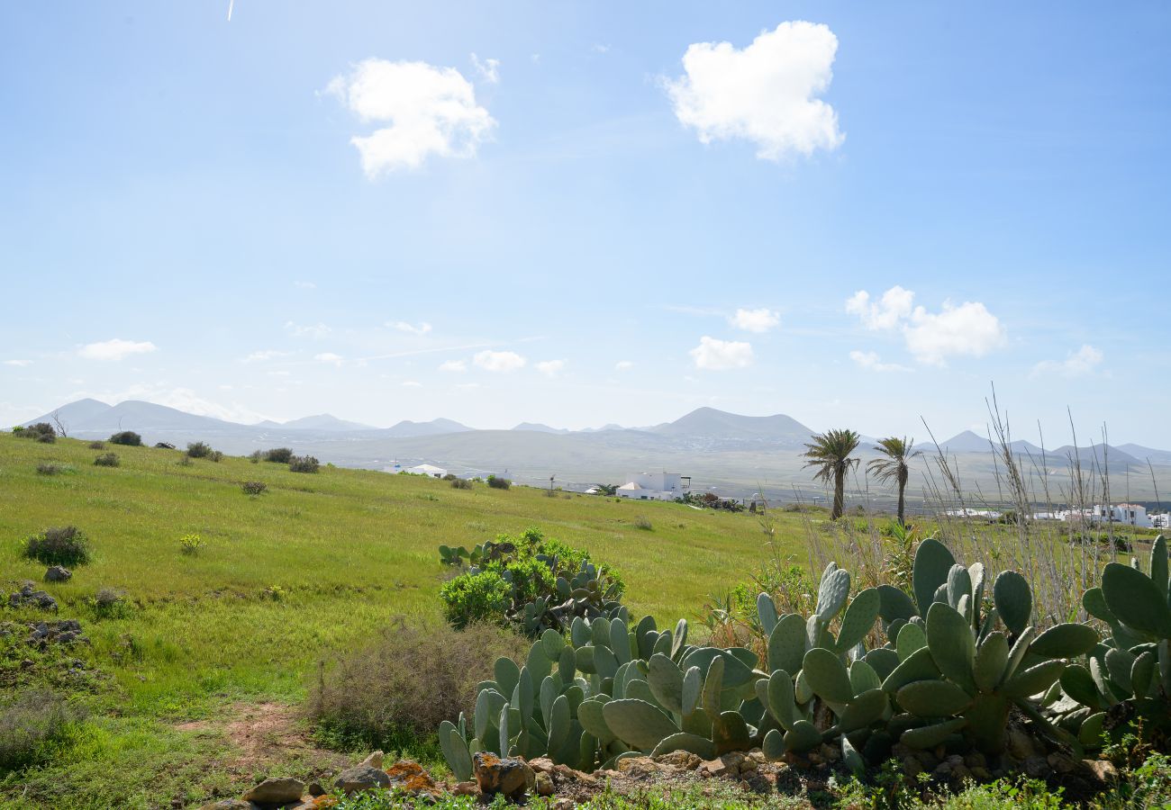 House in Teguise (Lanzarote) - Casa Los Divisos, small cozy cottage in La Villa de Teguise House in Teguise (Lanzarote) - Casa Los Divisos, small cozy cottage in La Villa de Teguise