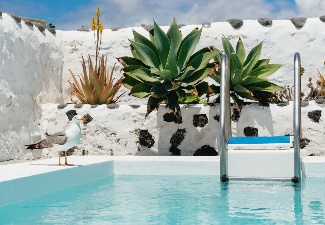 Apartment in El Golfo - Abuelos, Sea Views with the best sunset on the island (El Golfo) Apartment in El Golfo - Abuelos, Sea Views with the best sunset on the island (El Golfo)
