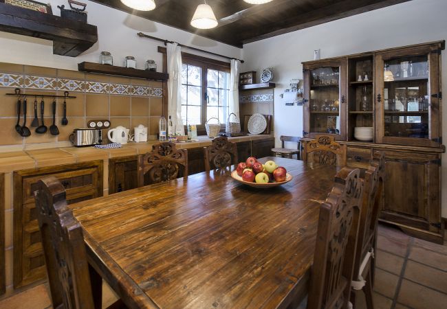 House in Masdache - Casa Perdomo, local culture within vines  House in Masdache - Casa Perdomo, local culture within vines