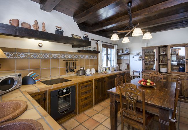 House in Masdache - Casa Perdomo, local culture within vines  House in Masdache - Casa Perdomo, local culture within vines