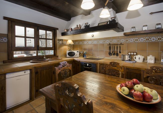 House in Masdache - Casa Perdomo, local culture within vines  House in Masdache - Casa Perdomo, local culture within vines