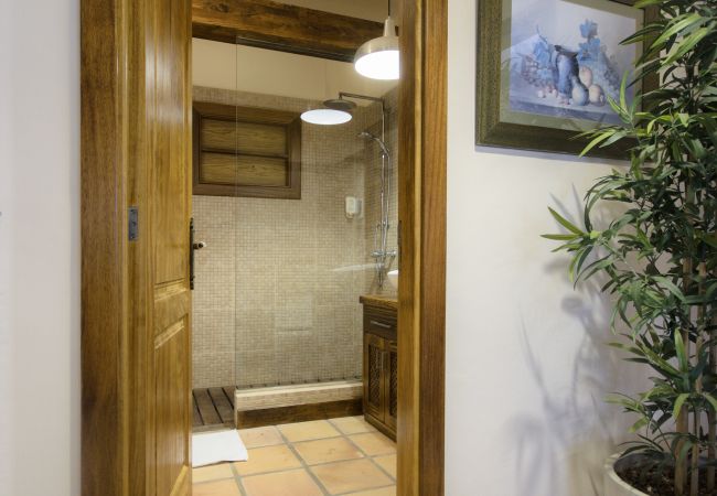 House in Masdache - Casa Perdomo, local culture within vines  House in Masdache - Casa Perdomo, local culture within vines