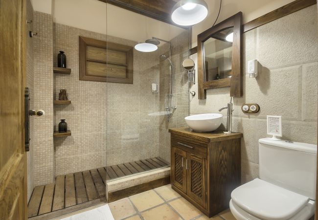 House in Masdache - Casa Perdomo, local culture within vines  House in Masdache - Casa Perdomo, local culture within vines