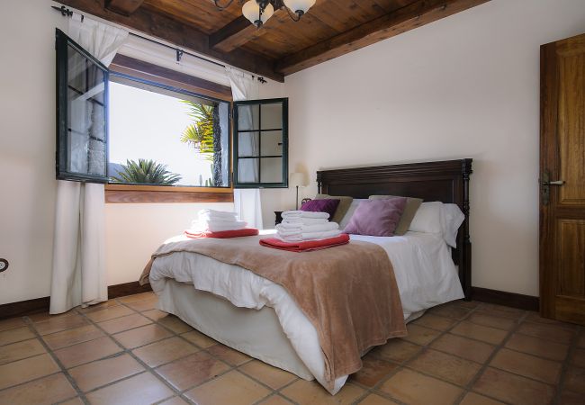 House in Masdache - Casa Perdomo, local culture within vines  House in Masdache - Casa Perdomo, local culture within vines