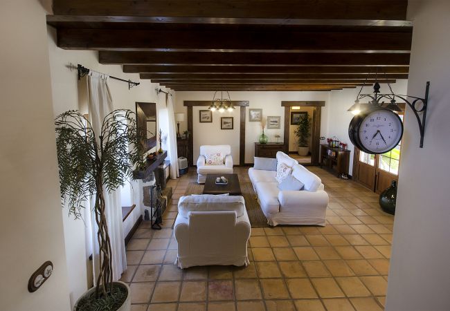 House in Masdache - Casa Perdomo, local culture within vines  House in Masdache - Casa Perdomo, local culture within vines