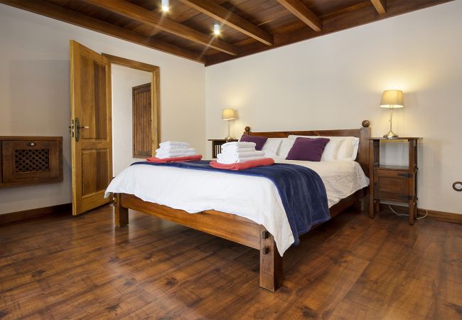 House in Masdache - Casa Perdomo, local culture within vines  House in Masdache - Casa Perdomo, local culture within vines