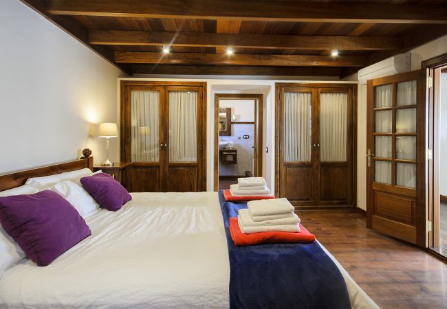 House in Masdache - Casa Perdomo, local culture within vines  House in Masdache - Casa Perdomo, local culture within vines