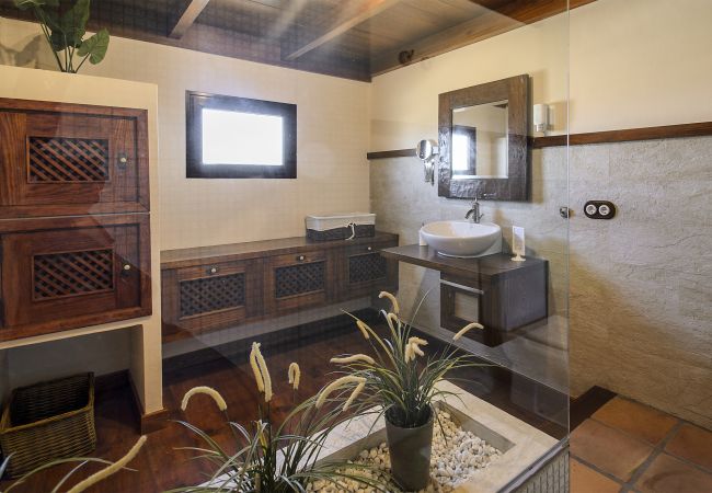 House in Masdache - Casa Perdomo, local culture within vines  House in Masdache - Casa Perdomo, local culture within vines