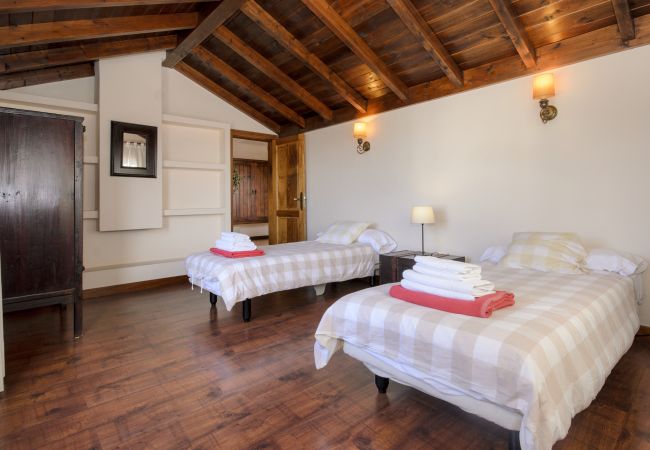 House in Masdache - Casa Perdomo, local culture within vines  House in Masdache - Casa Perdomo, local culture within vines