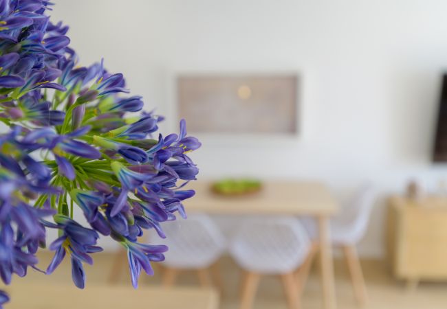 Apartment in Puerto del Carmen - Casa Anzuelo, with Balcony Puerto del Carmen Apartment in Puerto del Carmen - Casa Anzuelo, with Balcony Puerto del Carmen