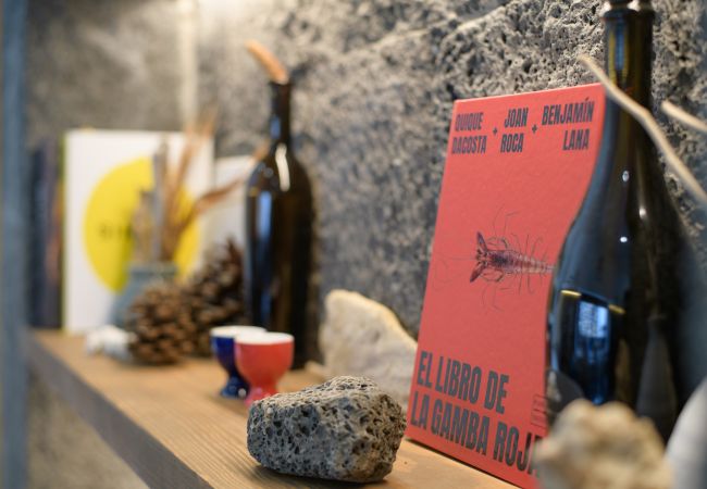 House in Macher - Casa del Aljibe, Modern and Prestigious  House in Macher - Casa del Aljibe, Modern and Prestigious